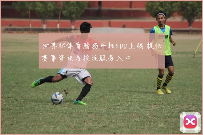 世界杯体育赌场手机app上线 提供赛事资讯与投注服务入口