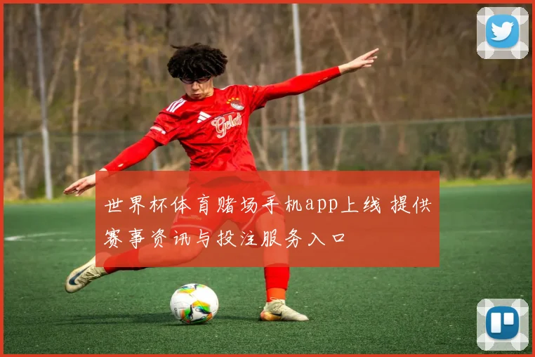 世界杯体育赌场手机app上线 提供赛事资讯与投注服务入口