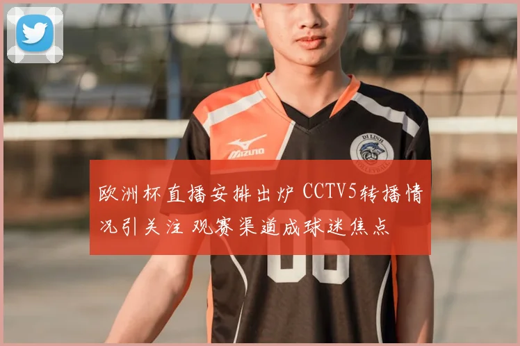 欧洲杯直播安排出炉 CCTV5转播情况引关注 观赛渠道成球迷焦点